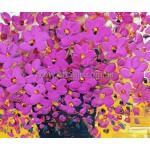 Купить картину "Букет Фиолетовых Цветов" в стиле 3D Импасто