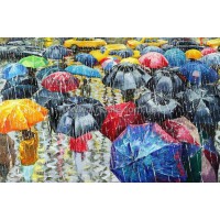 Купить интерьерную картину "Под дождем"