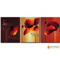 Модульная картина маки, ART.: KCC0028