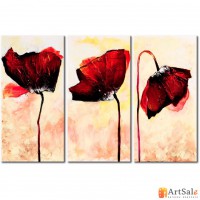 Модульная картина красные маки, ART.: KCC0131