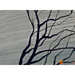 Интерьерные модульные картины, Дерево Солнце ART.: KIM0657